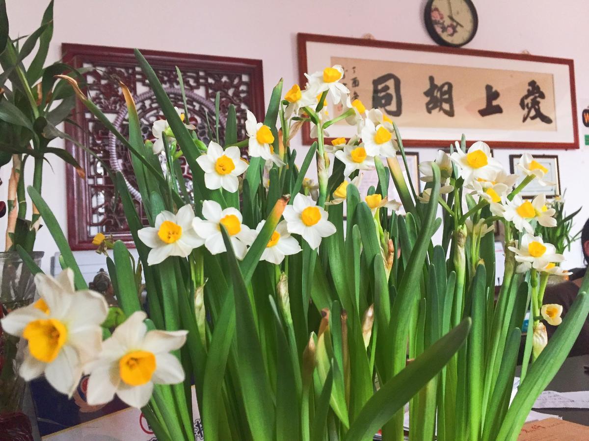 Hutong Impressions Beijing Guesthouse Bagian luar foto